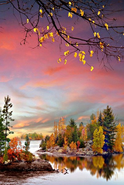 Красивая Золотая осень