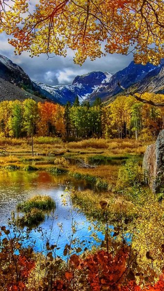 Картина осенняя природа для детей