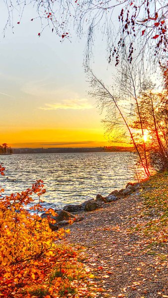 Золотая осень