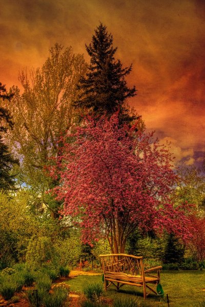 Золотая осень на пруду