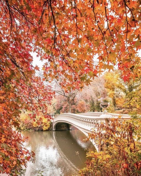 Осень художник Былич Александр Леонидович