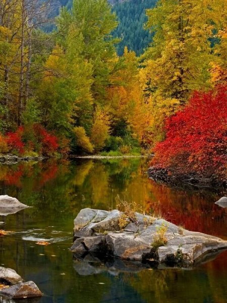 Пейзаж осени