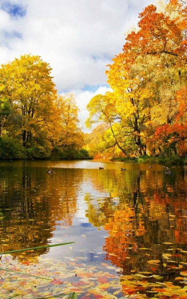 Пейзаж ранняя осень