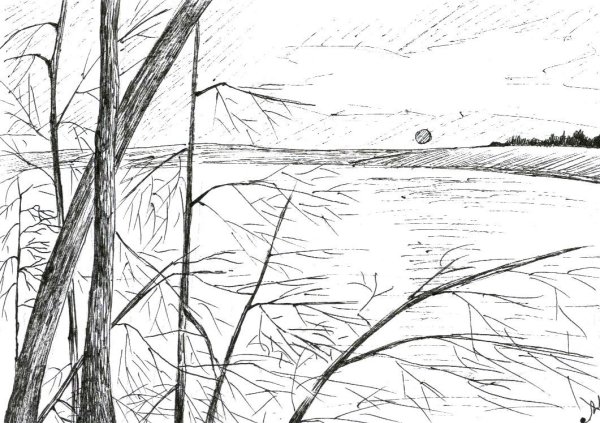 Пейзаж карандашом