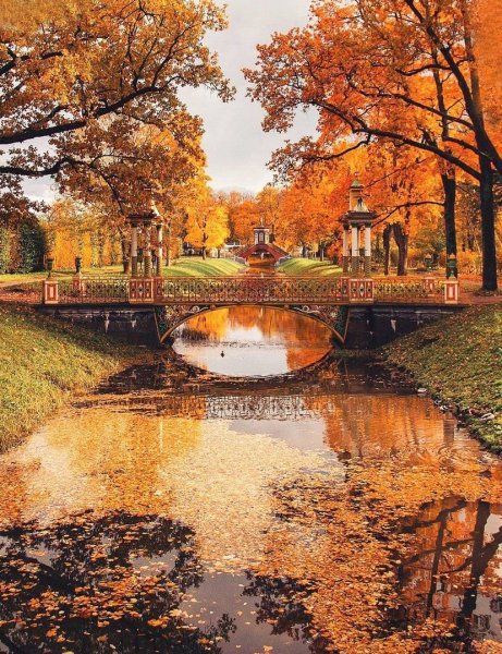 Осенний пейзаж Петербурга