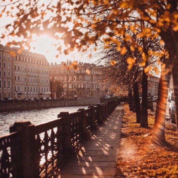 Набережная реки Карповки осенью