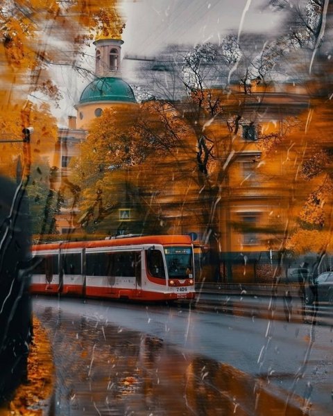 Санкт-Петербург Пушкин Екатерининский парк осень