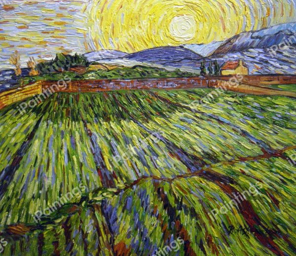 Алискамп Ван Гог