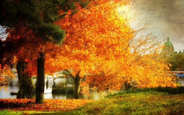 Фантастические осенние пейзажи