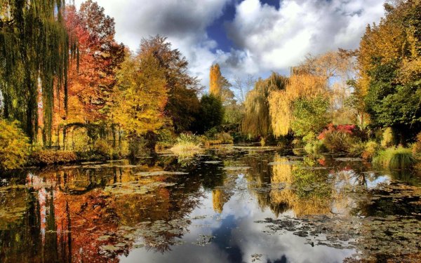 Осень сентябрь