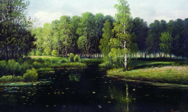 Живопись Роман Божков