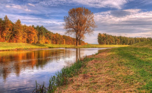 Река Нерская осень