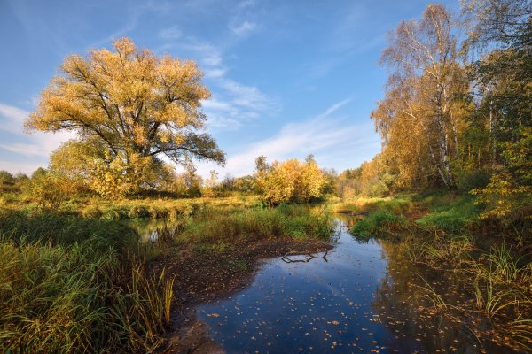 Осенний пейзаж
