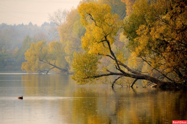 Природа Балашихи