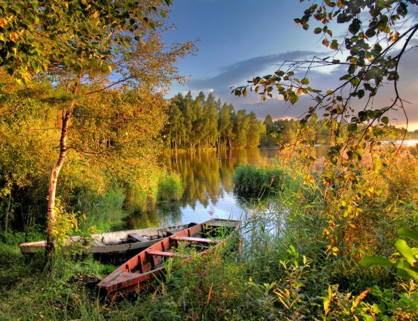 Озера Шатура осенью