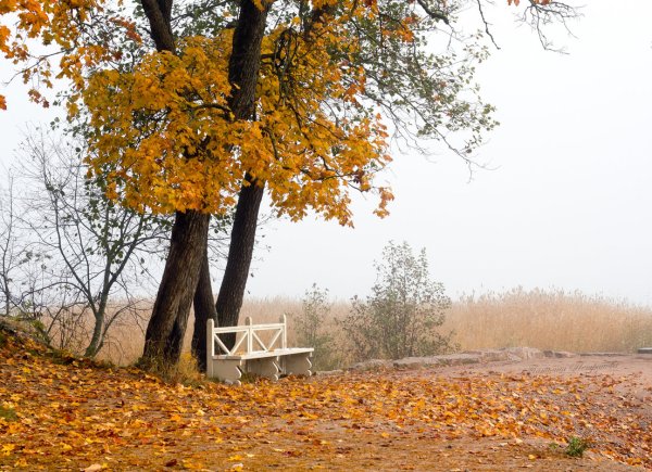 Грустная осень