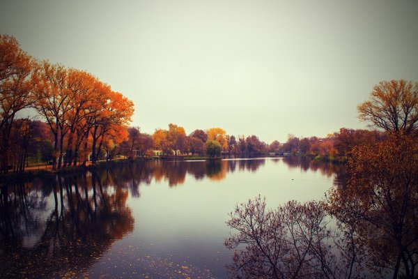 Грустный осенний пейзаж