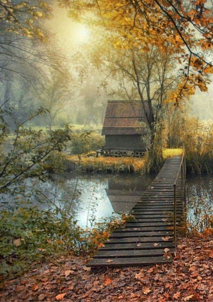 Умиротворяющий пейзаж