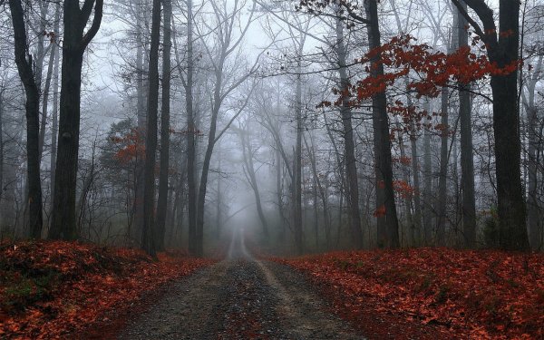 Серая осень