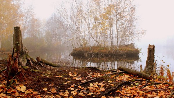 Унылый осенний пейзаж