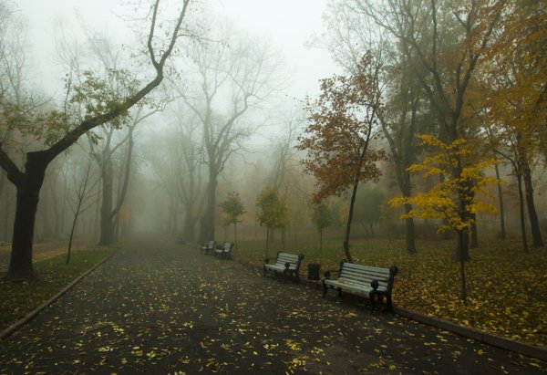 Унылая осень