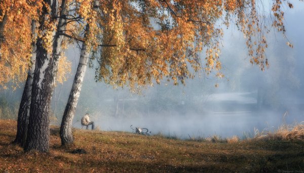 Осень ветер