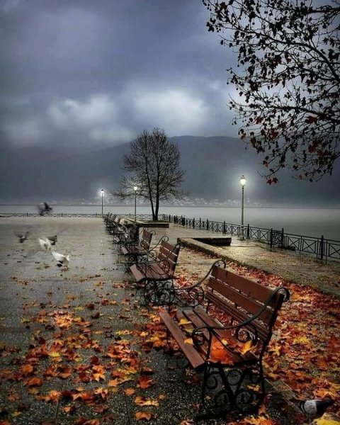 Осень одиночество