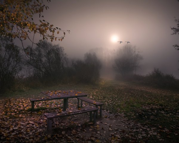 Скамейка в тумане