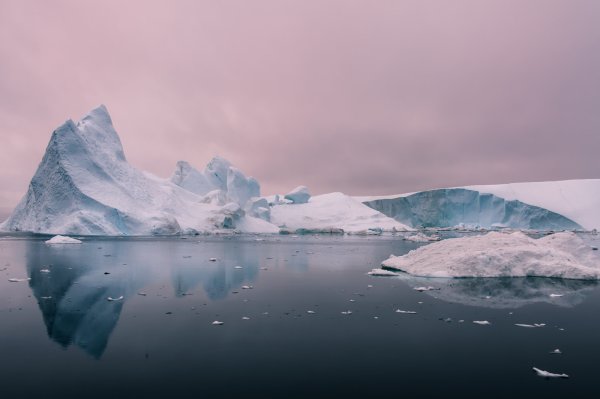 Арктика Антарктика Антарктида