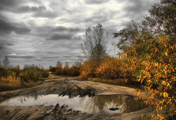 Хмурая осень