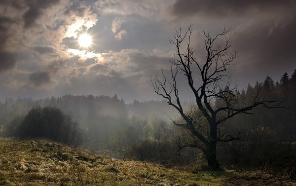 Пасмурный день