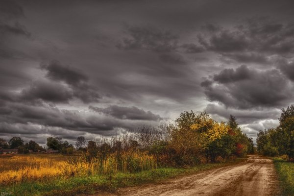 Пасмурная осень