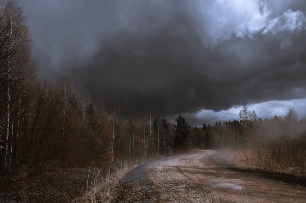 Мрачный осенний пейзаж