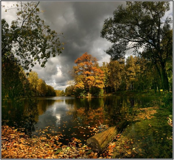 Пасмурный осенний день