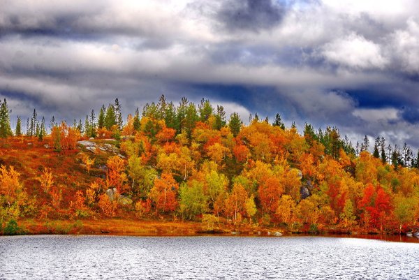 Тундра осенью Салехард