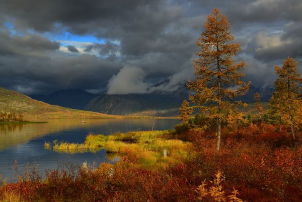 Тундра река Колыма