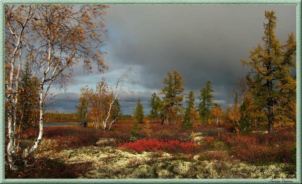 Пейзаж Северный край