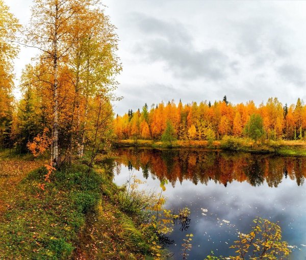 Природа Печора Коми осень