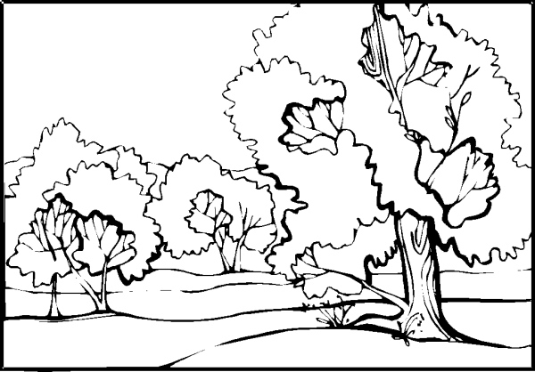 Осенний пейзаж раскраска