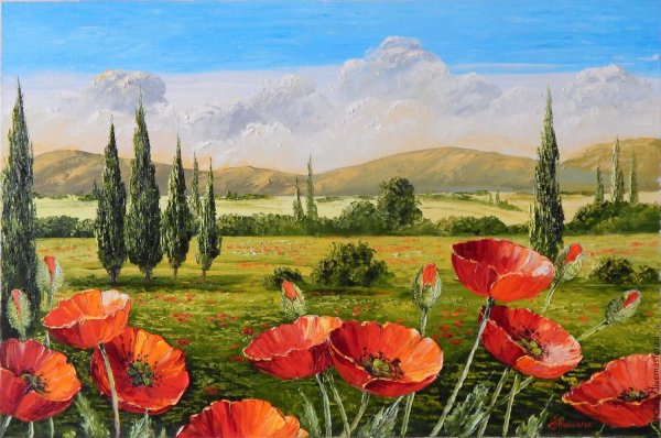 Тоскана Италия маковые поля