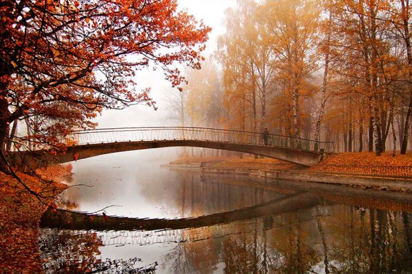 Курицын Сергей художник Архангельск картины