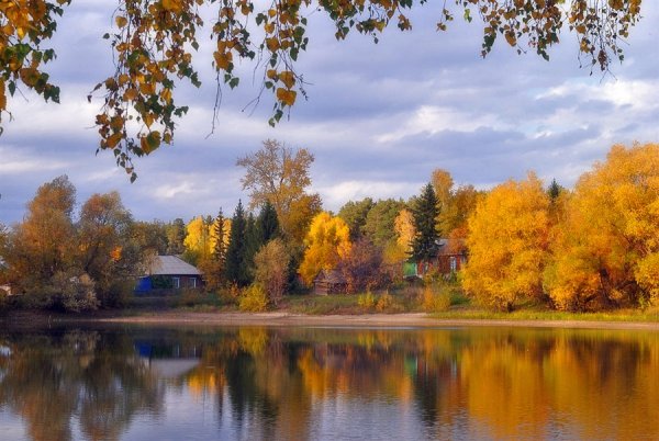 Осень в лесу