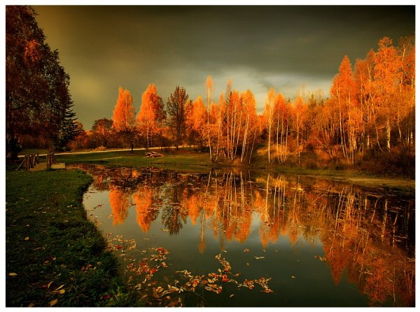 Картина осень