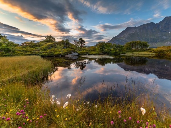 Берег озера