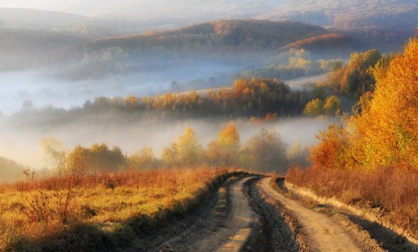 Теплый пейзаж