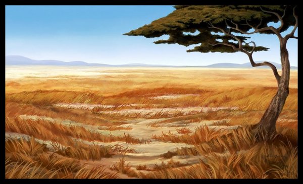 Фон Король Лев Саванна