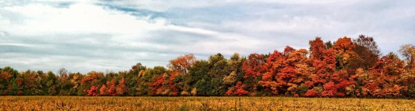 Осень панорама