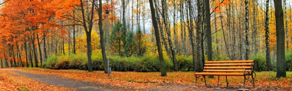 Осенний парк панорама