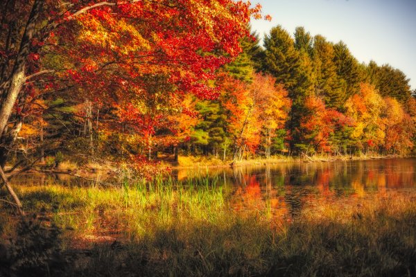 Обои на рабочий стол осень природа