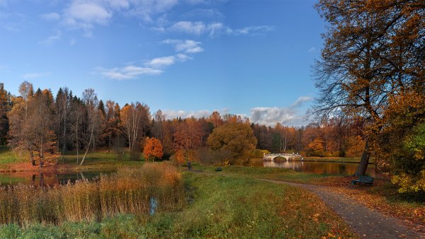 Павловский парк в октябре
